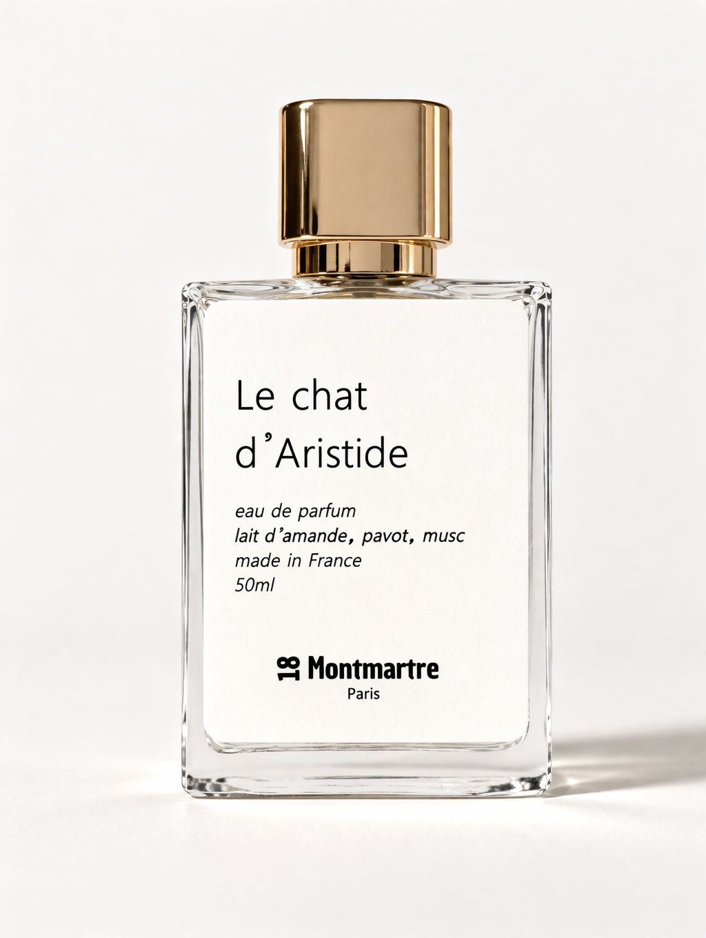 LE CHAT D'ARISTIDE