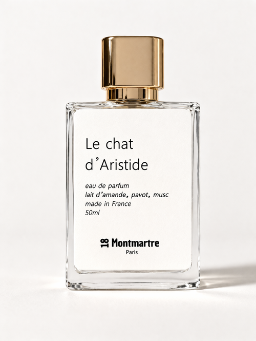LE CHAT D'ARISTIDE